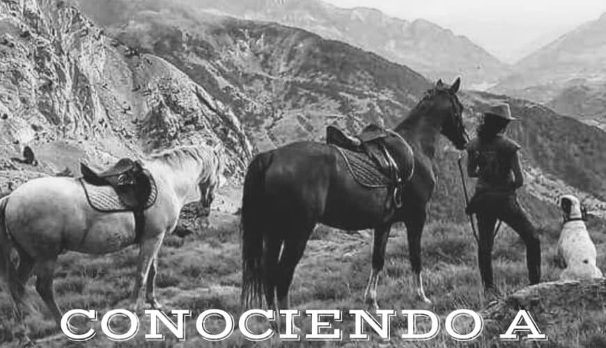 Experiencia Conociendo a los Caballos