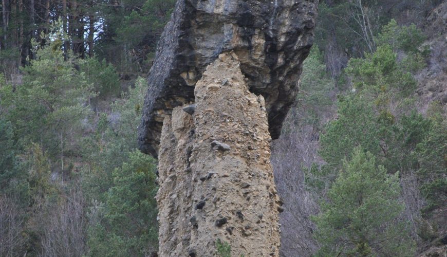 Ruta ornitológica Señoritas de Arás