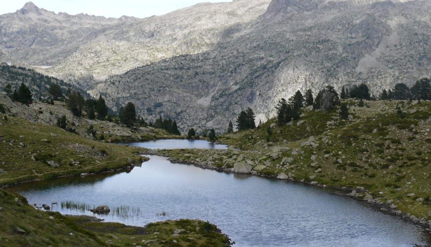 Ruta ornitológica Balsa de las Ranas-Ibones de Ordicuso