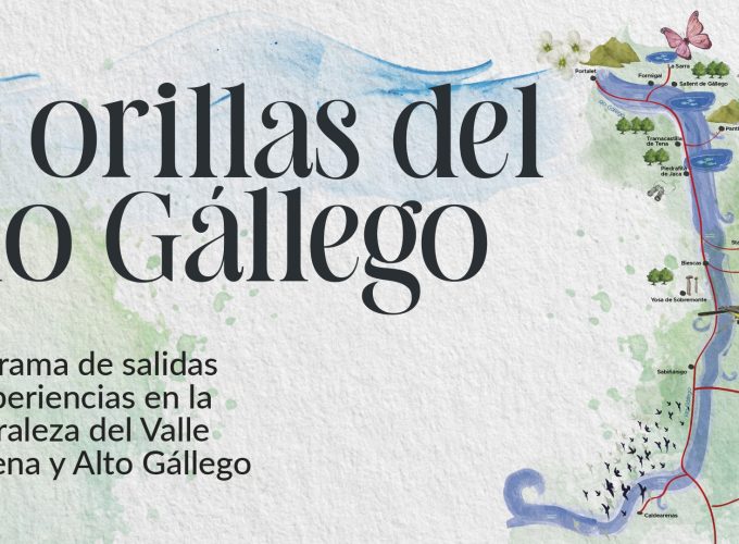 A orillas del río Gállego