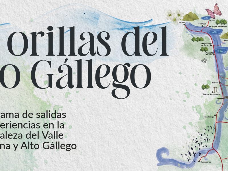 A orillas del río Gállego