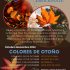 Visitas guiadas: Colores de Otoño